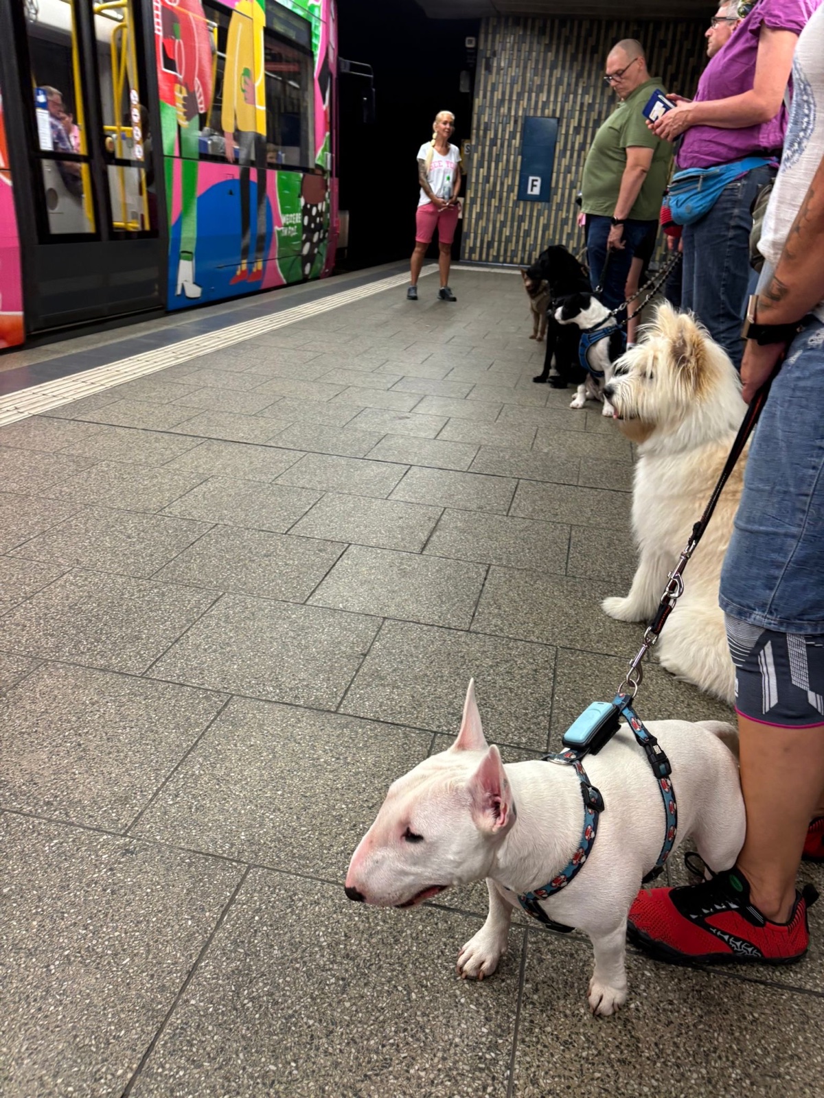 Aus dem Training